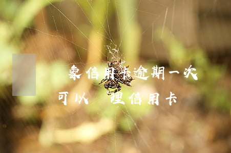 對象信用卡逾期一次辦貸款(銀行貸款有逾期可以辦理信用卡嗎)