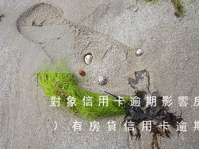 對象信用卡逾期影響房貸嗎(已經(jīng)有房貸信用卡逾期有影響嗎)
