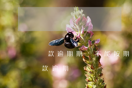 對貸款逾期期間不能按期(銀行不提醒造成的貸款逾期)