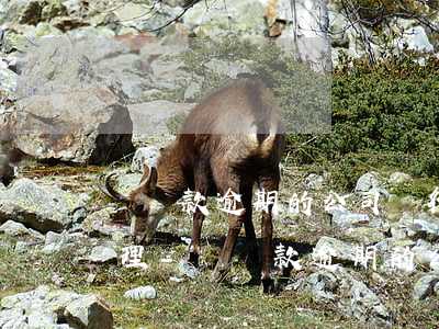 對貸款逾期的公司銀行會(huì)怎么處理-對貸款逾期的公司銀行會(huì)怎么處理呢