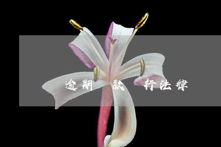 對逾期貸款進行法律訴訟催收(逾期借款催收)