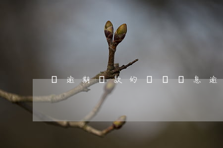 對逾期還款的違約罰息(逾期還款罰息利率)