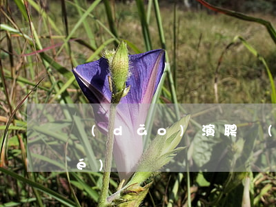 導(dǎo)演聘請(qǐng)協(xié)議