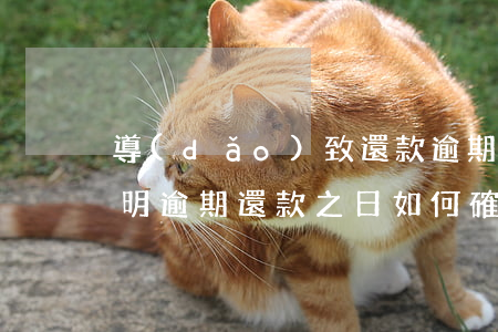 導(dǎo)致還款逾期的說(shuō)明(逾期還款之日如何確定)