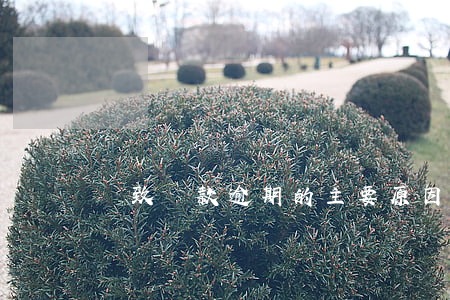導致貸款逾期的主要原因(造成逾期的原因)