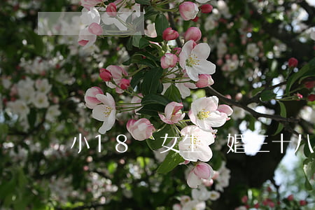 小18歲女生離婚(三十八歲離婚單身女)