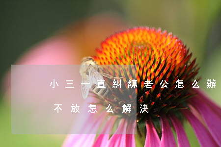 小三一直糾纏老公怎么辦(小三一直纏著老公不放怎么解決)