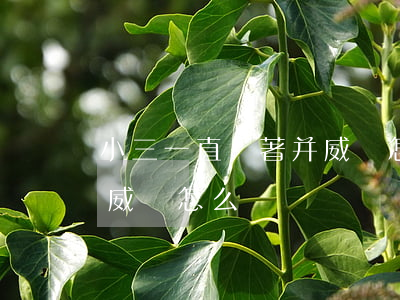 小三一直纏著并威脅怎么辦(小三一直纏著并威脅怎么辦)