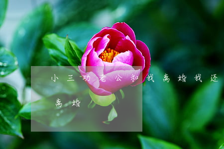 小三劝老公和我离婚我还怎么还击(小三让我离婚)
