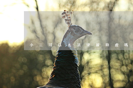 小三可以去法律援助處嗎