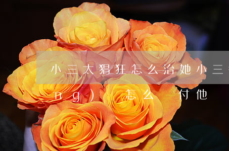 小三太猖狂怎么治她(小三很囂張我應(yīng)該怎么對付他)