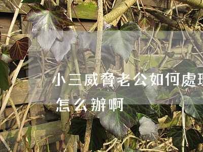 小三威脅老公如何處理(小三拿孩子威脅老公怎么辦啊)