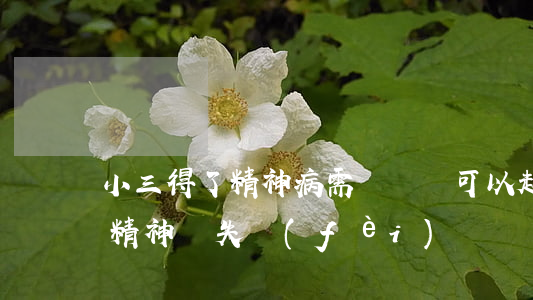 小三得了精神病需賠償嗎(可以起訴小三賠償精神損失費(fèi)嗎)