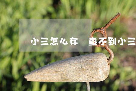 小三怎么存錢查不到(小三拿了錢怎么辦)