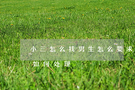 小三怎么找男生怎么要求赔偿(小三在法律上如何处理)