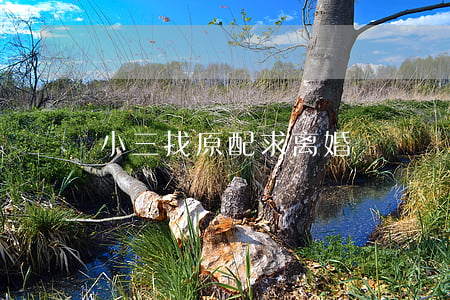 小三找原配求离婚