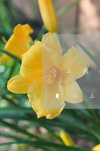 小三找老公要精神損失費怎么辦(老公每個月給小三生活費可以要回來嗎)