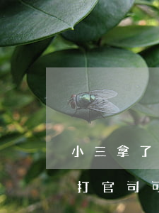 小三拿了多少錢(qián)可以起訴(小三打官司可以得多少賠償)