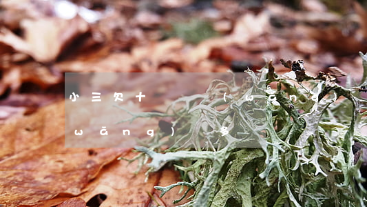 小三欠十幾萬網(wǎng)貸(欠三萬網(wǎng)貸多嗎)
