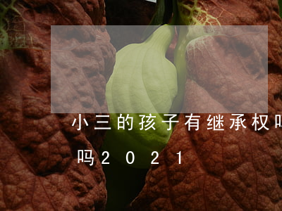 小三的孩子有继承权吗(小三的孩子有继承权吗2021)