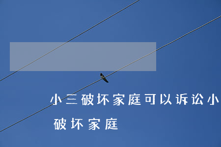 小三破坏家庭可以诉讼小三吗(怎么起诉小三破坏家庭)