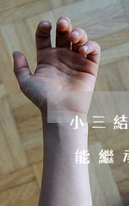 小三結婚也有遺產(chǎn)繼承嗎(小三能繼承財產(chǎn)嗎)