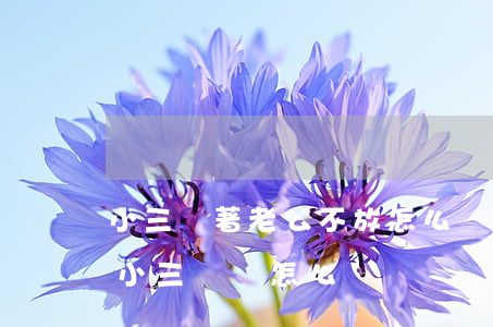 小三纏著老公不放怎么辦(老公想和小三斷,但小三糾纏怎么辦)