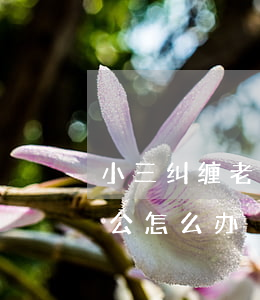 小三纠缠老公不放怎么办(小三不停的纠缠老公怎么办?)