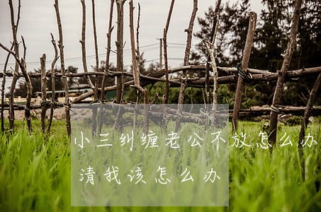 小三纠缠老公不放怎么办(老公和小三纠缠不清我该怎么办)