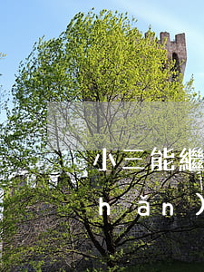 小三能繼承遺產(chǎn)嗎(把遺產(chǎn)留給小三有效嗎)