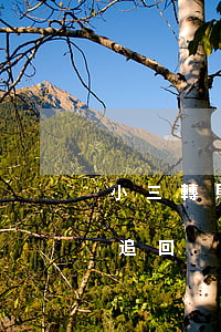 小三轉賬如何避免被追回(給小三的轉賬如何追回)