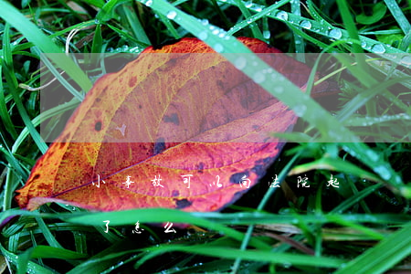 小事故可以向法院起訴嗎(交通小事故被起訴了怎么辦)