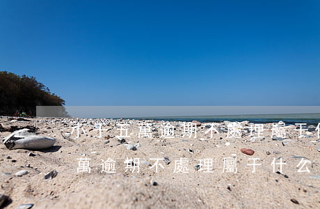 小于五萬逾期不處理屬于什么行為-小于五萬逾期不處理屬于什么行為類型
