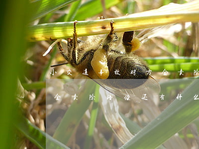 小交通事故对方全责除赔偿(小交通事故对方全责除赔偿,还有什么责任)