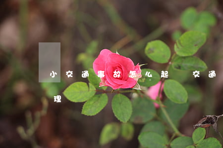 小交通事故怎么起訴(交通小事故起訴法院受理嗎)