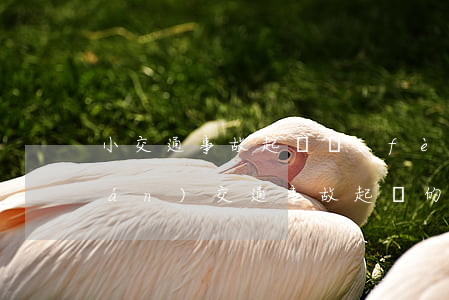 小交通事故起訴費(fèi)多少錢(qián)(交通事故起訴的流程及費(fèi)用標(biāo)準(zhǔn))