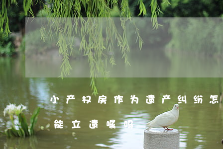 小产权房作为遗产纠纷怎么办(小产权的房子能立遗嘱吗)