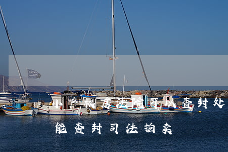 小产权房法院可以查封处置吗(小产权房能不能查封司法拍卖)