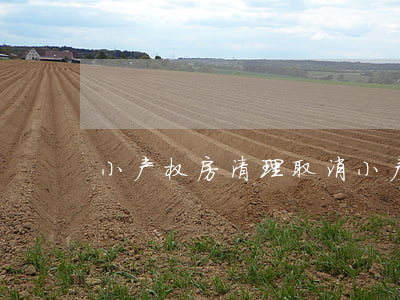 小产权房清理(取消小产权房)