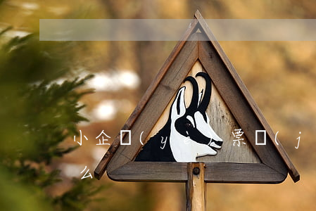 小企業(yè)票據(jù)管理制度是什么