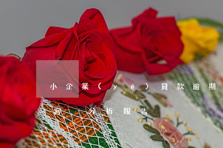 小企業(yè)貸款逾期原因分析(貸款逾期客戶分析報告)