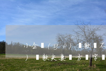 小企業(yè)貸款還不起配偶(企業(yè)貸款夫妻雙方簽字還不了都要變失信人員嗎)