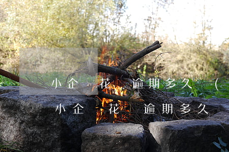 小企鵝花錢逾期多久會(huì)被起訴-小企鵝花錢逾期多久會(huì)被起訴
