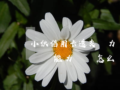 小伙信用卡透支無力償還(透支銀行信用卡確實無能力償還怎么處理)