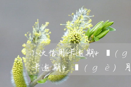 小伙信用卡逾期4個(gè)月-小伙信用卡逾期4個(gè)月怎么辦