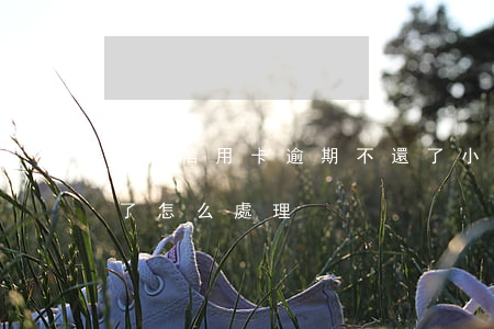 小伙信用卡逾期不還了(小伙信用卡逾期不還了怎么處理)