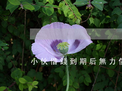 小伙借錢到期后無力償還