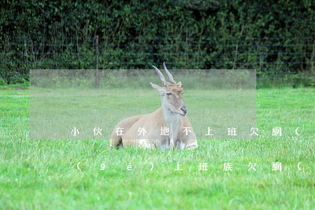 小伙在外地不上班欠網(wǎng)貸(一個(gè)上班族欠網(wǎng)貸16萬(wàn)怎么辦)