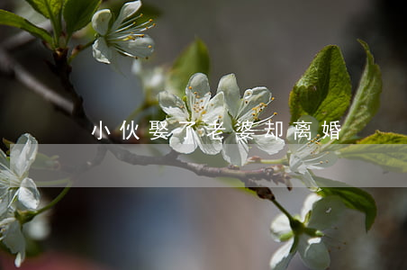 小伙娶了老婆却离婚