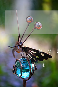小伙惡意透支20萬信用卡(透支20萬的信用卡)